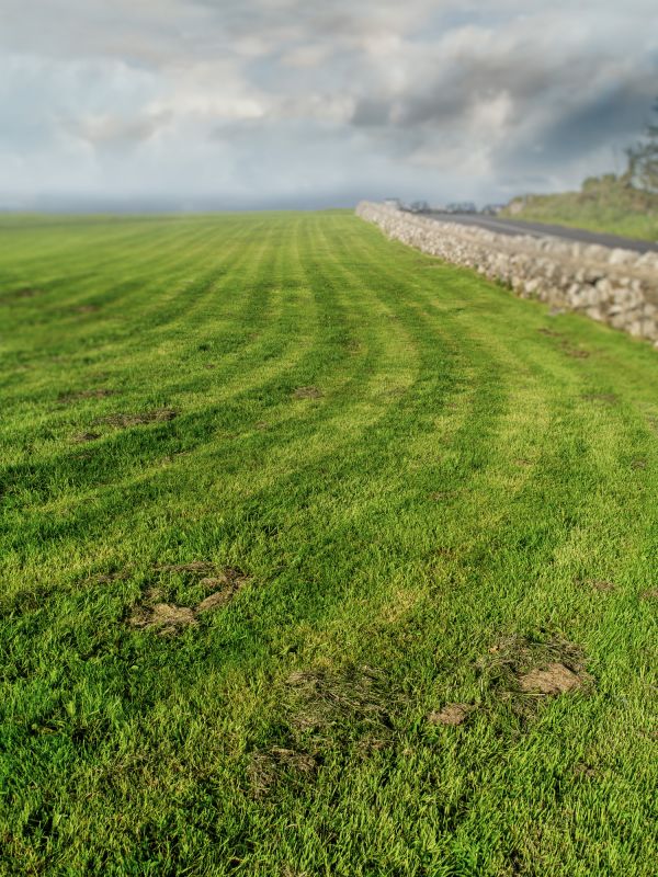 Meadow Mowing in Calvert County, MD