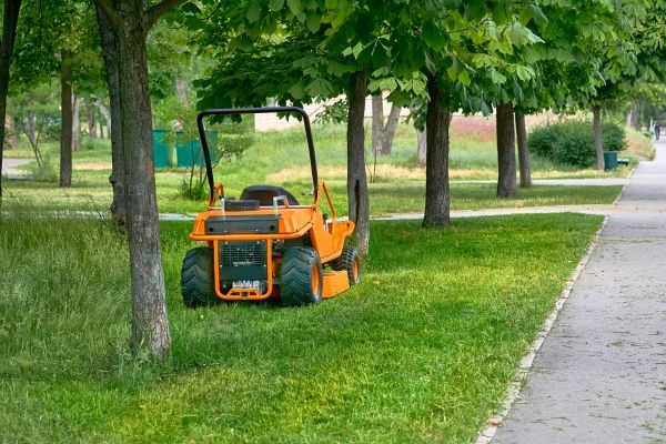 Overgrown Lawn Care - Overgrown Lawn Care Arlington, Washington