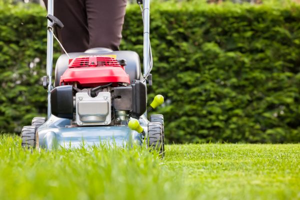 Grow your Unkempt Lawn Care business