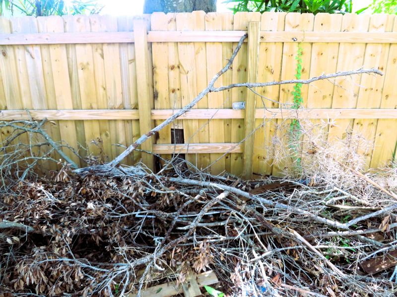 Brush Cleanup Service in Honolulu, HI
