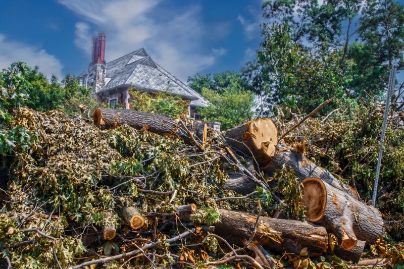 Brush Cleanup Service in Honolulu, HI