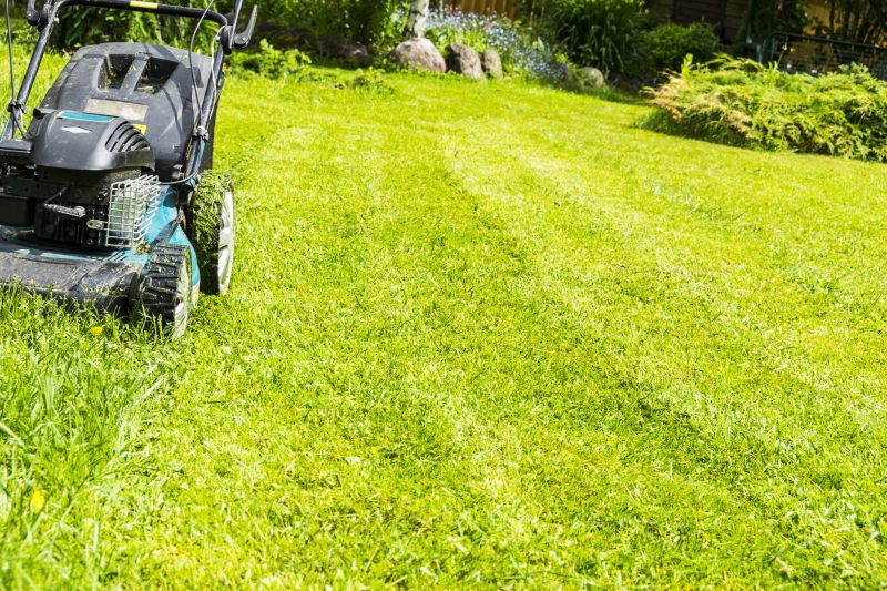 Brush Mowing Service in Calvert County, MD