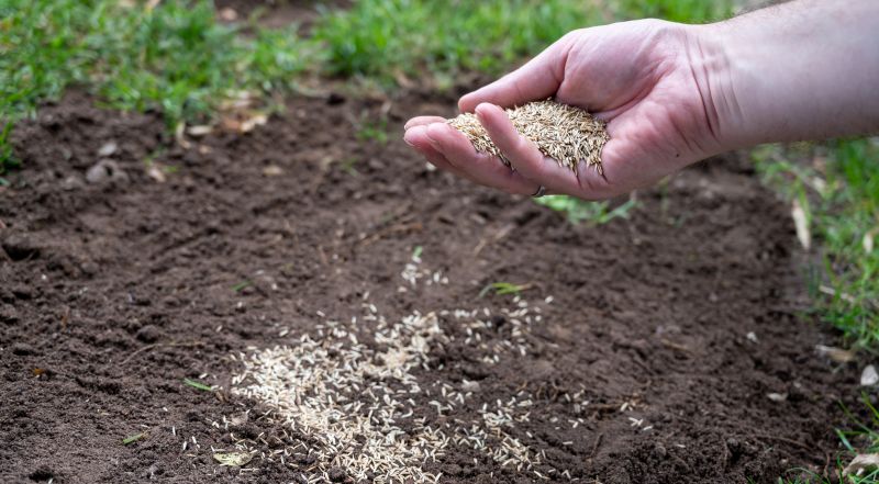 Commercial Grass Seeding in Ventura County, CA