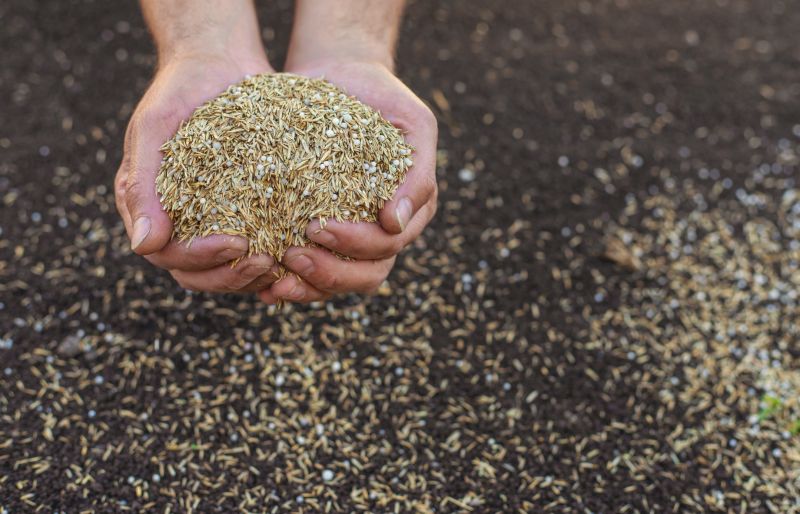 Commercial Lawn Seeding in Ventura County, CA