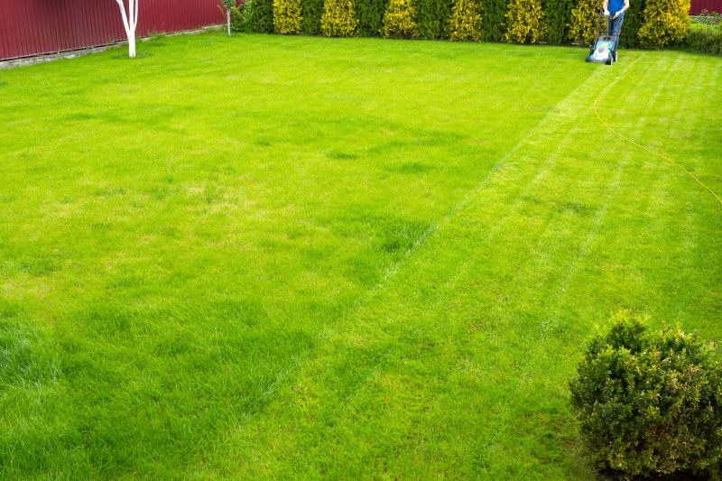 Lawn Size and Area