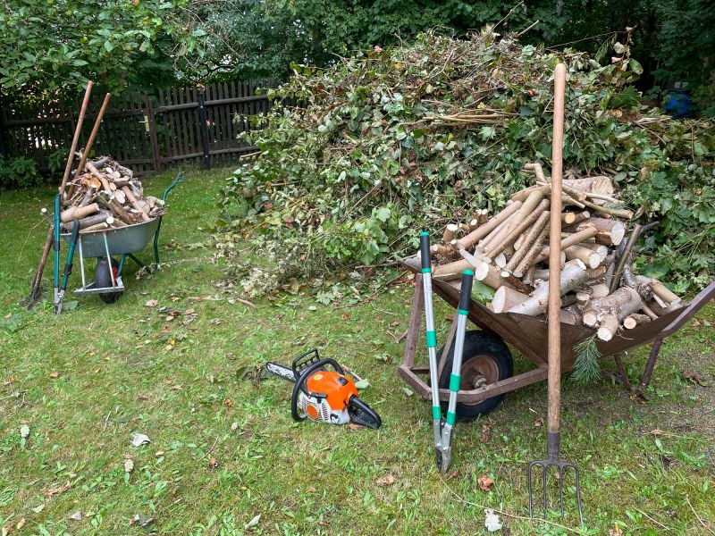 Fallen Branch Removal in Honolulu, HI