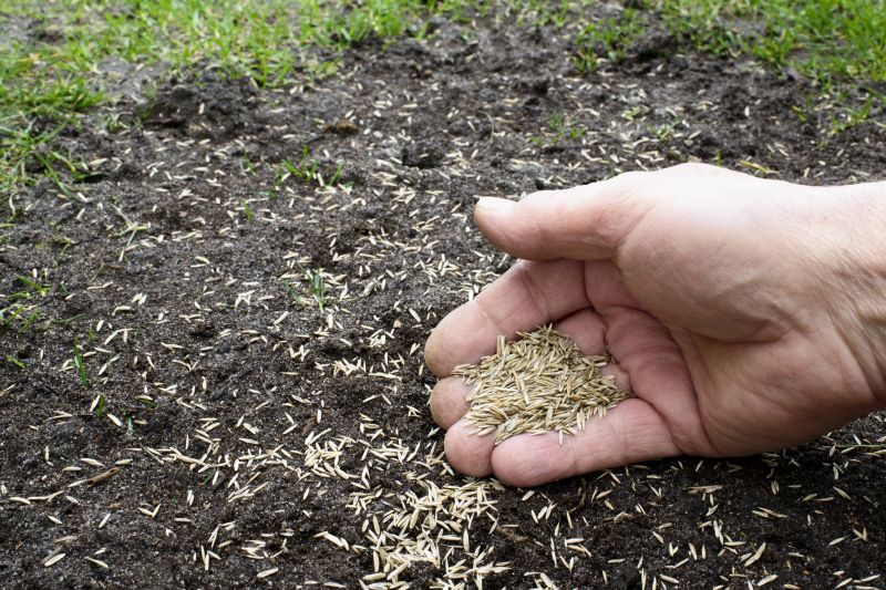Grass Seeding Service in Honolulu, HI
