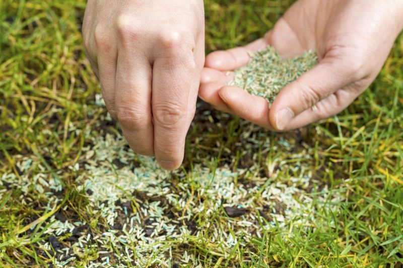 Grass Seeding Service in Ventura County, CA