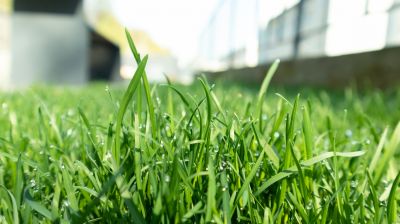 Landscape Fertilizing Service in Honolulu, HI