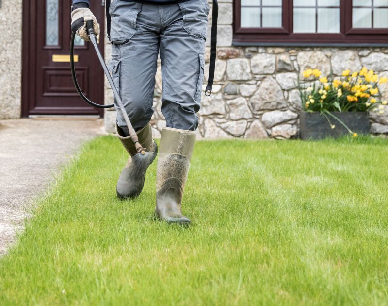 Lawn Moss Control in Ventura County, CA