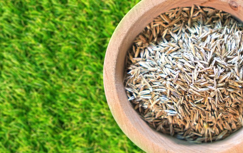 Lawn Seeding in Ventura County, CA