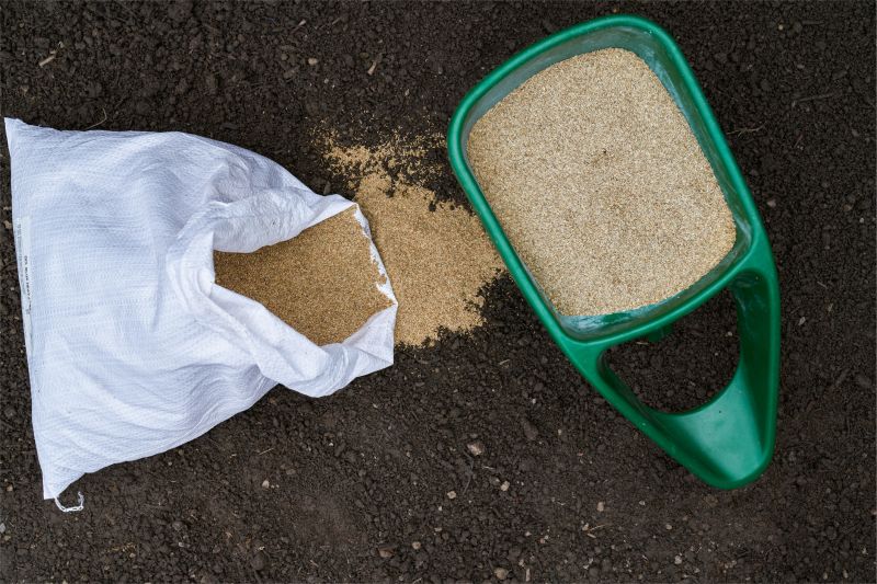 New Construction Lawn Seeding in Ventura County, CA