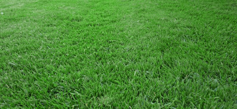 New Construction Lawn Seeding in Honolulu, HI