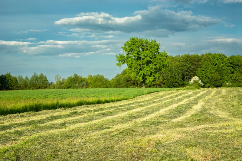 Pasture Mowing in Waldorf, MD