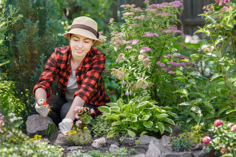 Rock Bed Weeding in Honolulu, HI