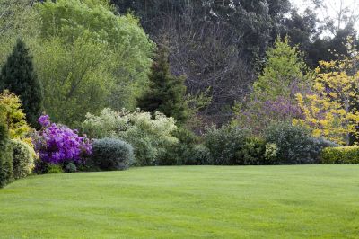 Spring Lawn Maintenance in Bowie, MD