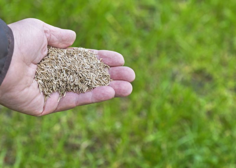 Turf Seeding in Honolulu, HI