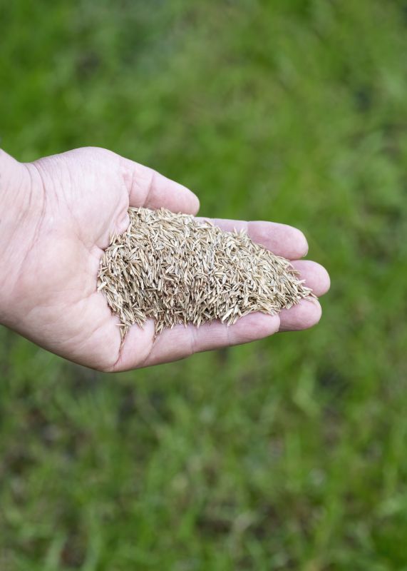 Turf Seeding in Honolulu, HI