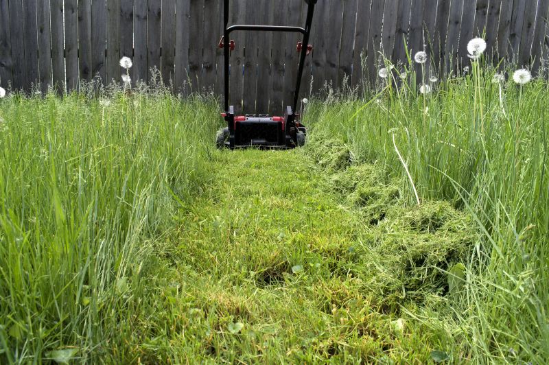 Unkempt Lawn Care