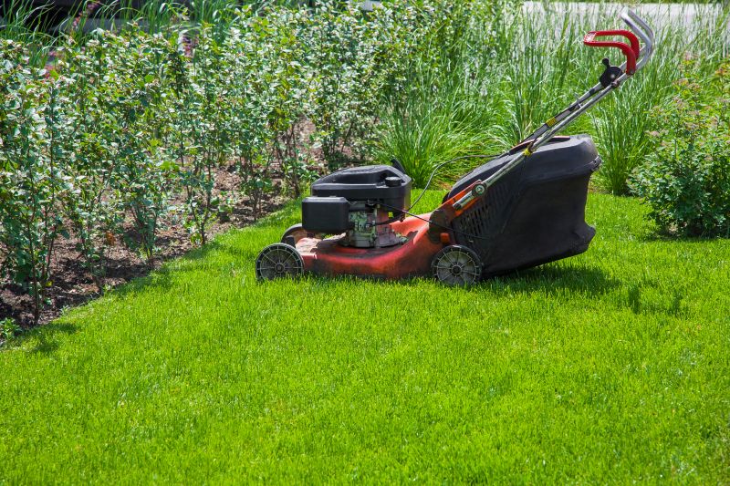 Unkempt Lawn Care