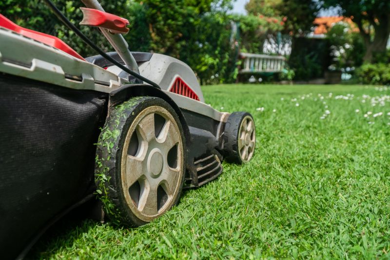 Vacant Lot Mowing in Calvert County, MD