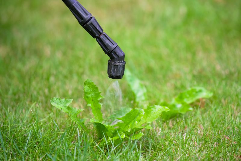 Weed Spraying in Rockwall, TX
